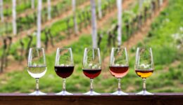 featured image for blogs 1160x665(20)(1) Wine Tasting Event